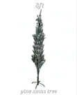 Itacen Kirsimeti na Pine Mai Kyau - 4ft zuwa 10ft - 2