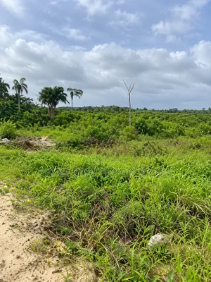 50 Acres na Filin Kasuwa, Okun Ajah, Lagos