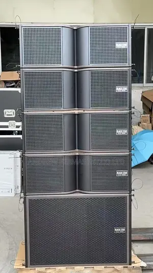 Blackstar Line Array Speaker - Brand New