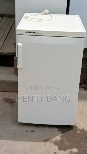 Liebherr Economy Single Door Refrigerator with Freezer