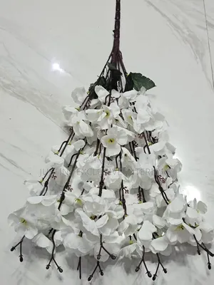 Sherry Blossom Decorative Fillers