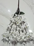 Sherry Blossom Fillers Na Kayan Kwalliya - 1