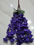 Sherry Blossom Fillers Na Kayan Kwalliya - 2