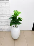 Artificial Palm Tree with Luxury White Vase - 1