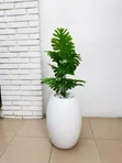 Artificial Palm Tree with Luxury White Vase - 3
