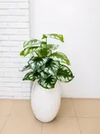 Artificial Palm Tree with Luxury White Vase - 4