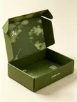 Collapsible Storage Box - Green/Black - 1
