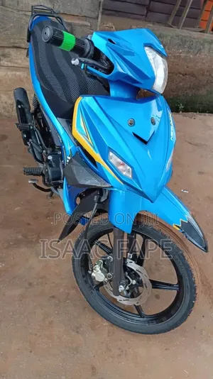 TVS Apache RTR 160 2V 2024 Gray