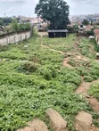 Commercial Land for Sale - Iwo Road, Ibadan - 2