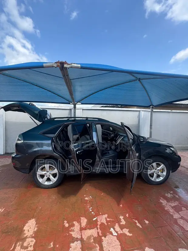 Lexus RX 330 2004 Gray - 1