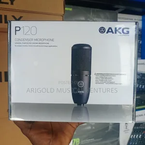 AKG P120 Professional Studio Condenser Microphone