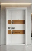 Foreign Security Door with Smart Key - 7x3ft - 2