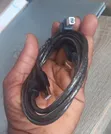 Brand New Lenovo USB 2.0 Printer Cable - 1