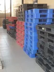 Brand New Plastic Pallet for Storage - 1