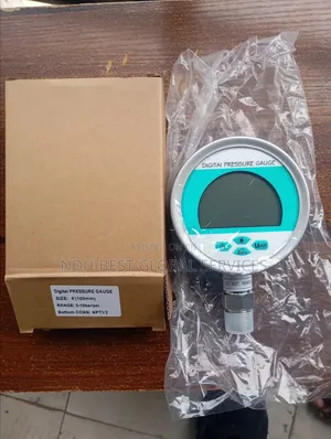 4" Digital Pressure Gauge (0-10 Bar)