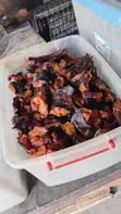 Premium Hygienic Catfish - 2