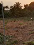 10 Acres Farmland for Rent in Ogun State - 3