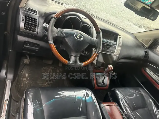 Lexus RX 330 2005 Gray - 1