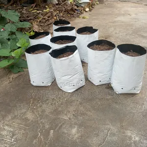 Babban Jakar Noma (2.7 Litres / 1/2 Gallon) - 100pcs