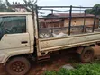 Toyota Dyna Rigid Truck - 1