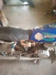 Suzuki AX4 2010 Blue - 4