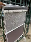 Double Roller Royal Window Blind - 1