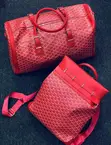 Goyard Zaneen Jirgin Baya - Sabo - 2
