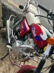 Qlink Rave 150 Scooter 2025 Ja - 3