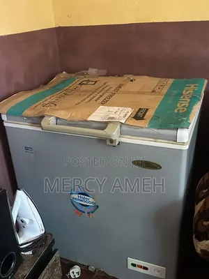 Haier Thermocool Deep Freezer - Needs Gas Refill