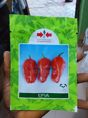 Efia F1 Hot Pepper