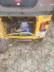 Bajaj RE 2026 Yellow Keke - 3
