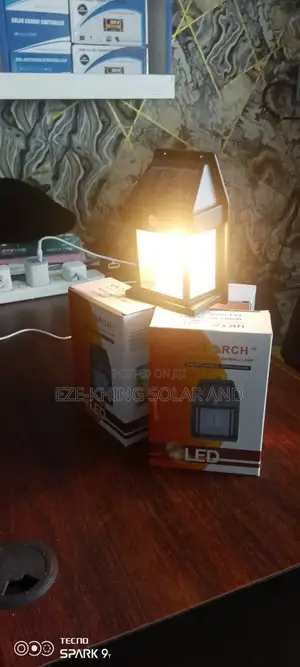 Solar Outdoor Light with Motion Sensor