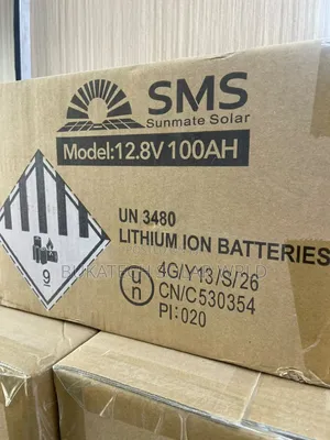 SMS 1kWh 100Ah 12V Lithium Battery