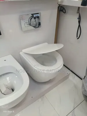 Master Wall Hung Conduit Toilet
