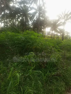 1 Plot of Land for Sale in Nibo, Awka