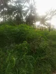1 Plot na Sayarwa a Nibo, Awka - 1