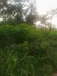 1 Plot na Sayarwa a Nibo, Awka - 2