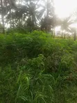 1 Plot na Sayarwa a Nibo, Awka - 3
