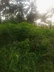1 Plot na Sayarwa a Nibo, Awka - 4