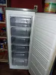 Nexus Standing Freezer - Yana Aiki Sosai - 2