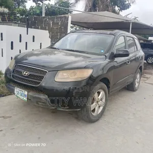 Hyundai Santa Fe 2009 Baki