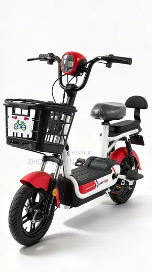 Sabon Eletric Scooter 350W