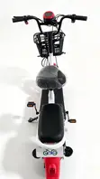 Sabon Eletric Scooter 350W - 3