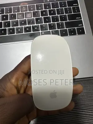 Apple Magic Mouse (Used)