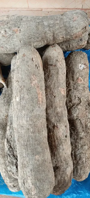 Dankali Mai Dadi na Anam da Dankali Mai Dadi