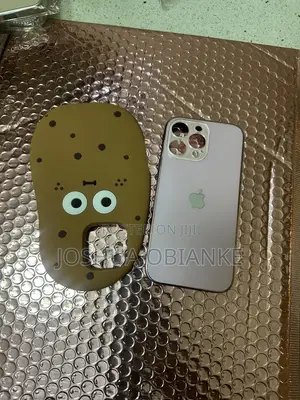 New iPhone 16 Pro Max Pouches