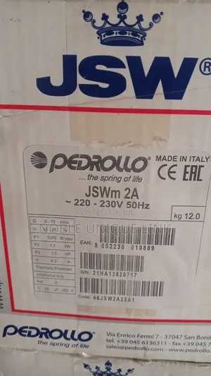 1.5 HP Pedrollo Surface Water Pump