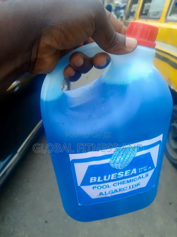Bluesea Pool Chemical Algaecide - 1