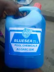 Bluesea Pool Chemical Algaecide - 2