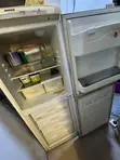 Hoover Standing Bottom Freezer Refrigerator - Fari - 1